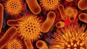 Teléfono inteligente podrá detectar bacterias en alimentos