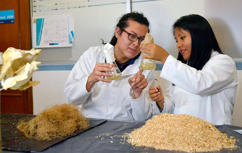 buap-icuap-maestria-tecnologias-agricolas-limpias