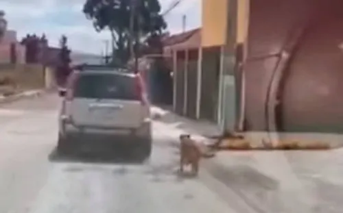 Pareja es exhibida tras amarrar a su perro a la defensa de su camioneta
