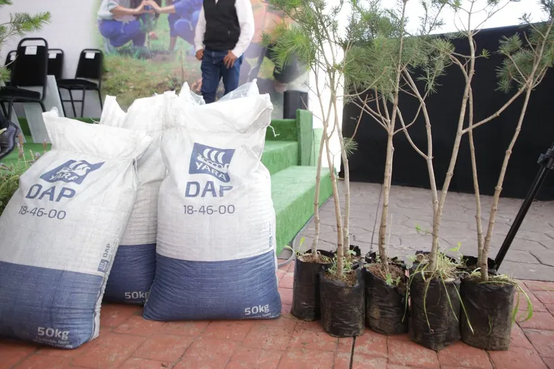 gob-pue-reforestacion-zoquitlan