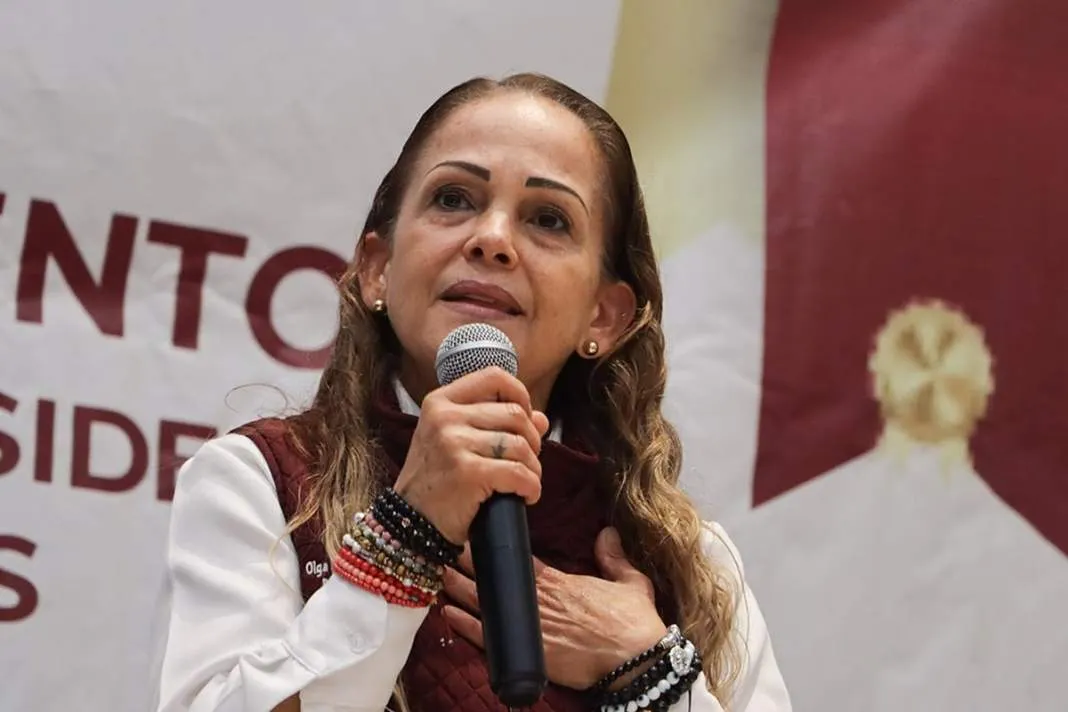 Futuro gris para Morena con la repetición de Romero como presidenta