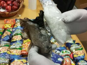 Aseguran droga oculta entre dulces y botanas en el AICM