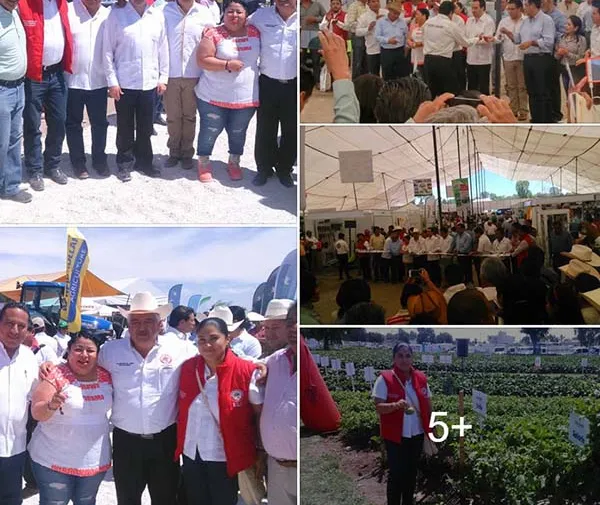 imagen-4