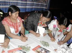 SEP convoca a Feria del Libro Indígena y Certamen Cine Minuto