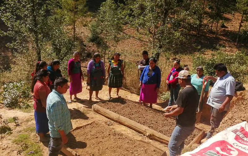 Coadyuva Pueblos Indígenas en capacitación en empleo a municipios de la Sierra Negra