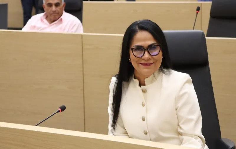 Fedrha Isabel Suriano Corrales, diputada local de Puebla por Movimiento Ciudadano. Foto: Especial