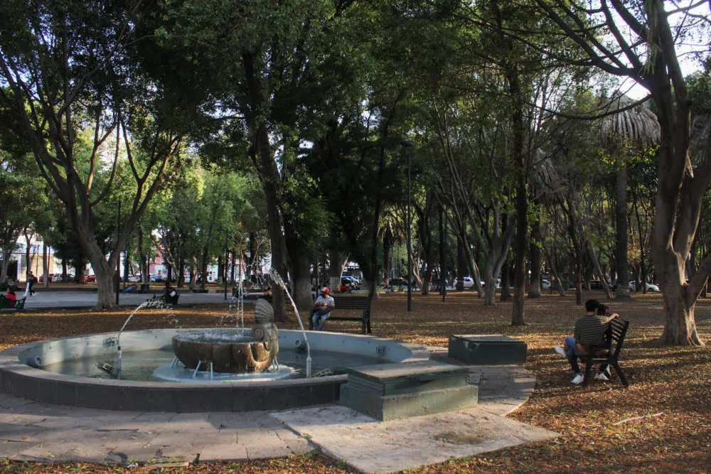 Paseo Bravo