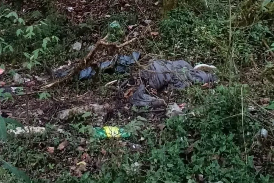 Localizan osamenta en puente Totolapa, en la Sierra Norte; el cuerpo fue arrojado al vacío