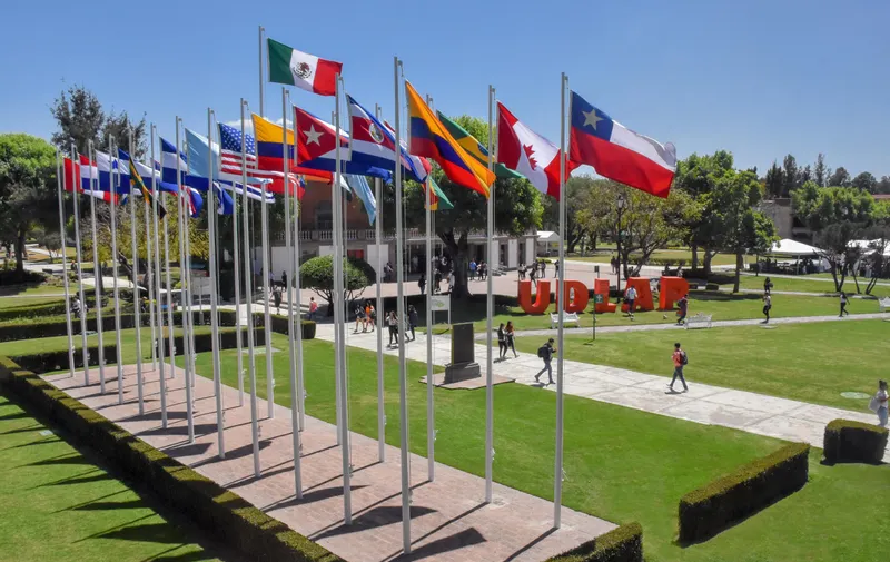 Imagen del artículo