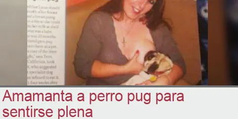 Amamanta a perro pug para sentirse plena