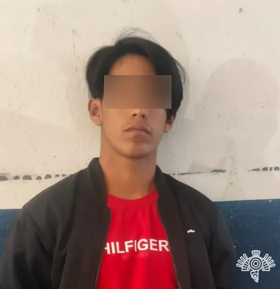 Sujetos en posesión de auto robado
