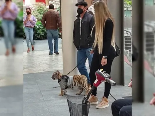 Mujer pasea con cachorro de tigre en Antara