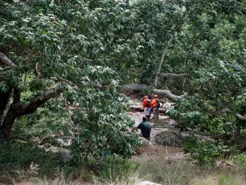 Lluvias dejan nueve muertos en Arizona; entre ellos dos niños