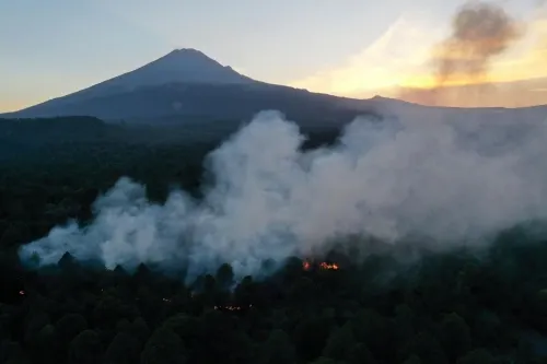 Puebla, segundo estado con más incendios forestales y superficie afectada