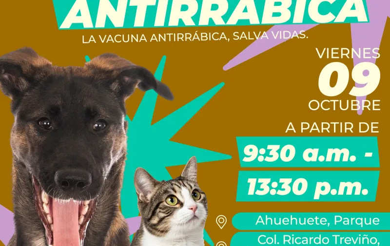 Atlixco llevará vacunación antirrábica para perros y gatos a colonias y comunidades