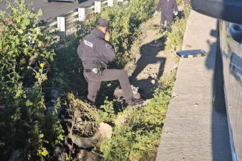 Hallan a motociclista en cuneta de la México-Puebla, presumen accidente