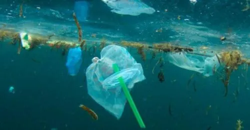 Científicos chinos advierten de gran presencia de plástico en fondo oceánico