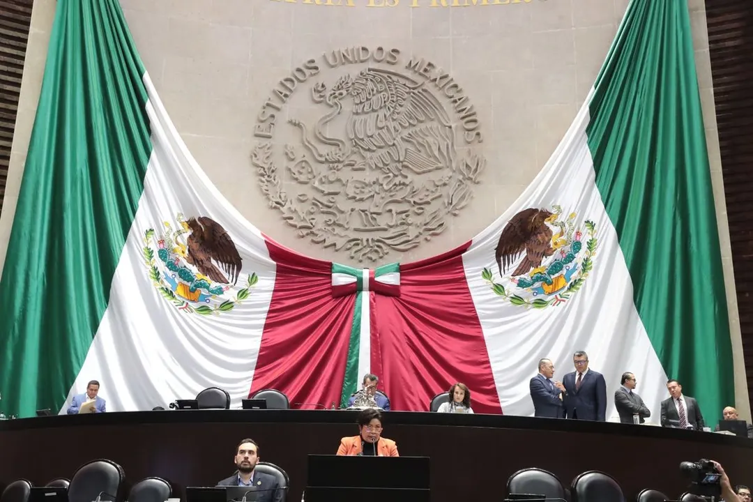 Camara De Diputados Laura Hernandez Garcia