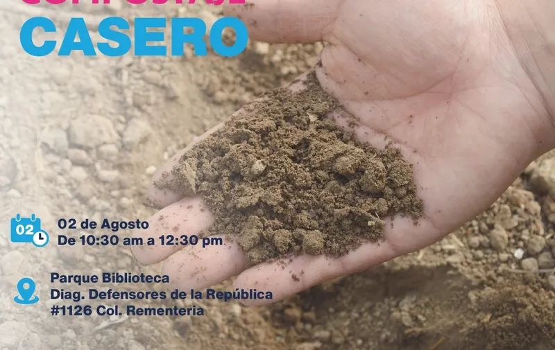 Imagen del artículo