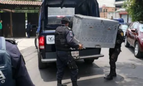Queda en libertad la mujer que cuidaba al pitbull que mató a niña en Coyoacán