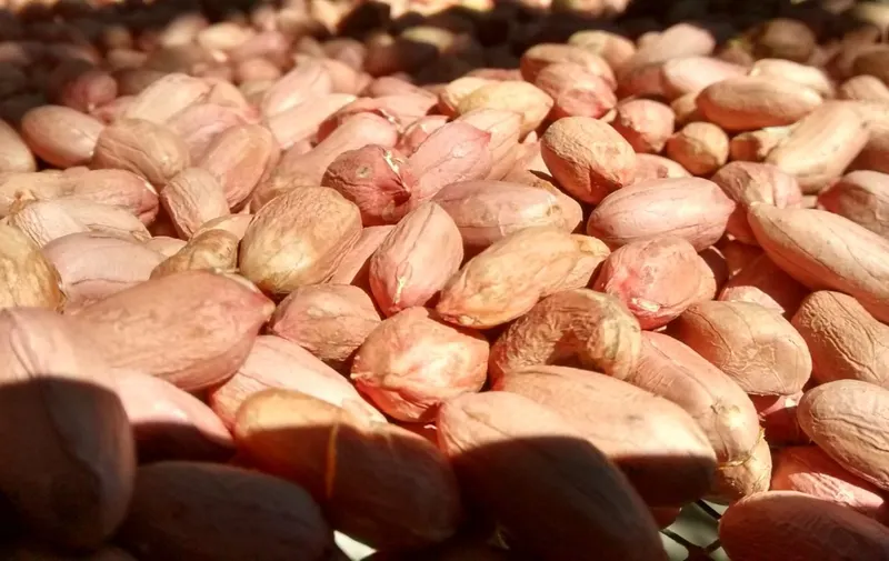cacahuate
