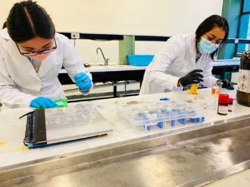 Alumnas de la UTP investigan compuestos para crear medicamentos anticancerígenos