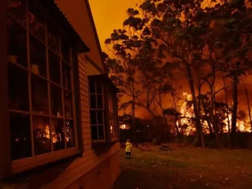 Comercio minorista el más afectado por incendios en Australia