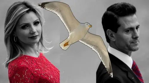 El vuelo de “La Gaviota”…lejos de Enrique Peña Nieto