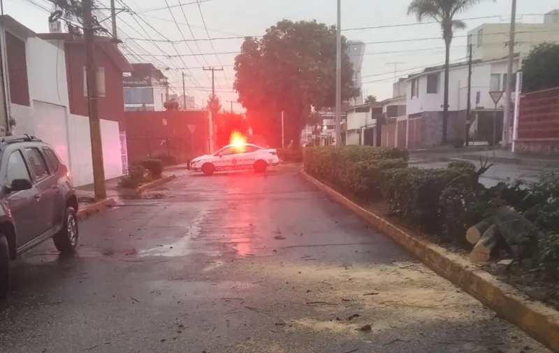 Foto: Especial