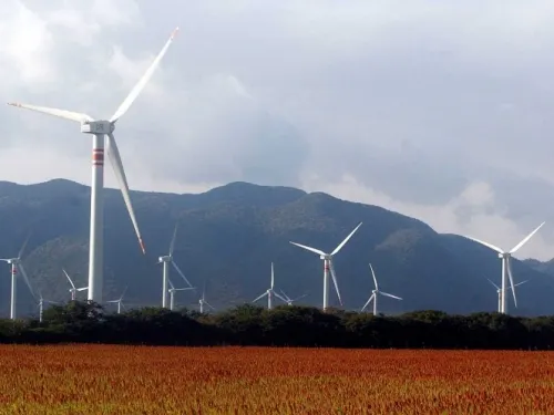 “Hay apertura a IP en sector energético, pero sin abusos”