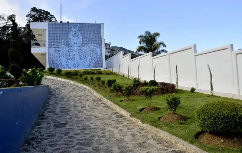 Imagen del artículo