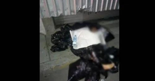 Dejan cuerpos descuartizados por cuarta vez en San Martín Texmelucan