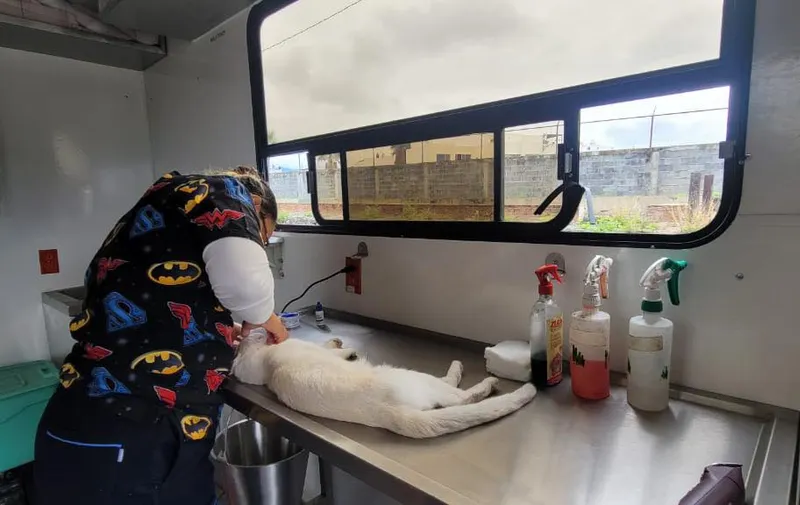atlixco-jornada-esterilizacion-mascotas