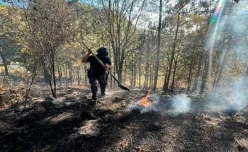 SSP destruye hornos clandestinos y detiene a presunto talamontes en Puebla
