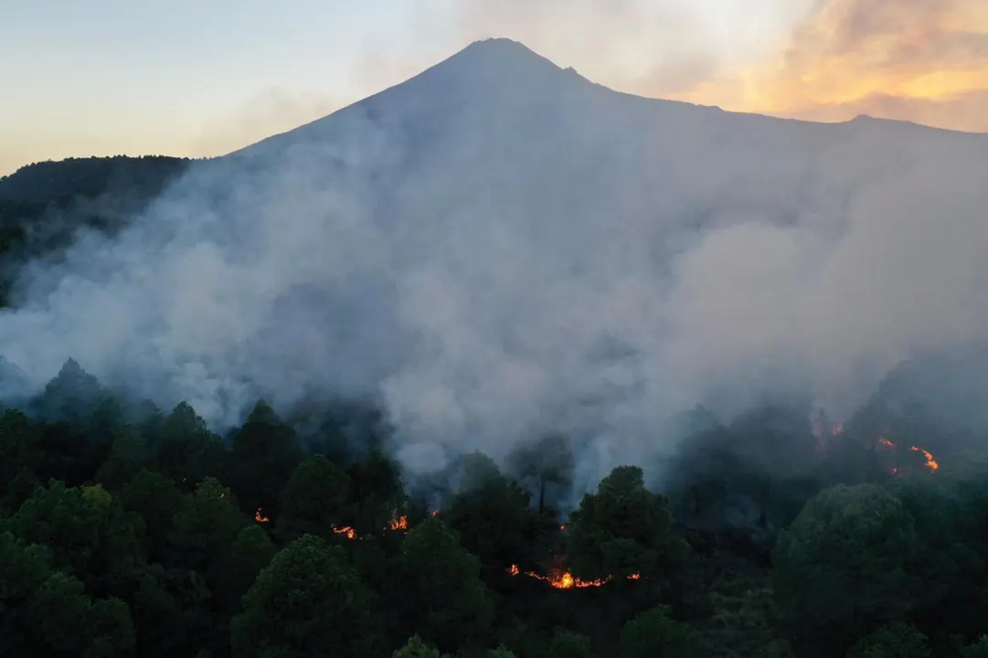 Se mantienen activos 6 incendios forestales en Puebla;  director de Conafor resultó gravemente lesionado