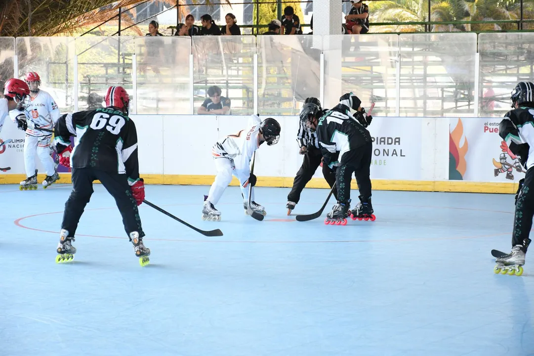 Hockey en línea
