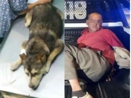 Vinculan a proceso a violador y golpeador de perrita ‘Mati’