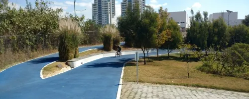 Evaluará Gobierno propuesta de que el Parque Metropolitano lleve el nombre de Amy Camacho