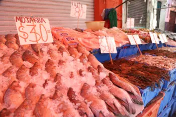Continuarán clausuras a locales de mariscos de la 16 poniente que tiren sus desechos en la vía pública