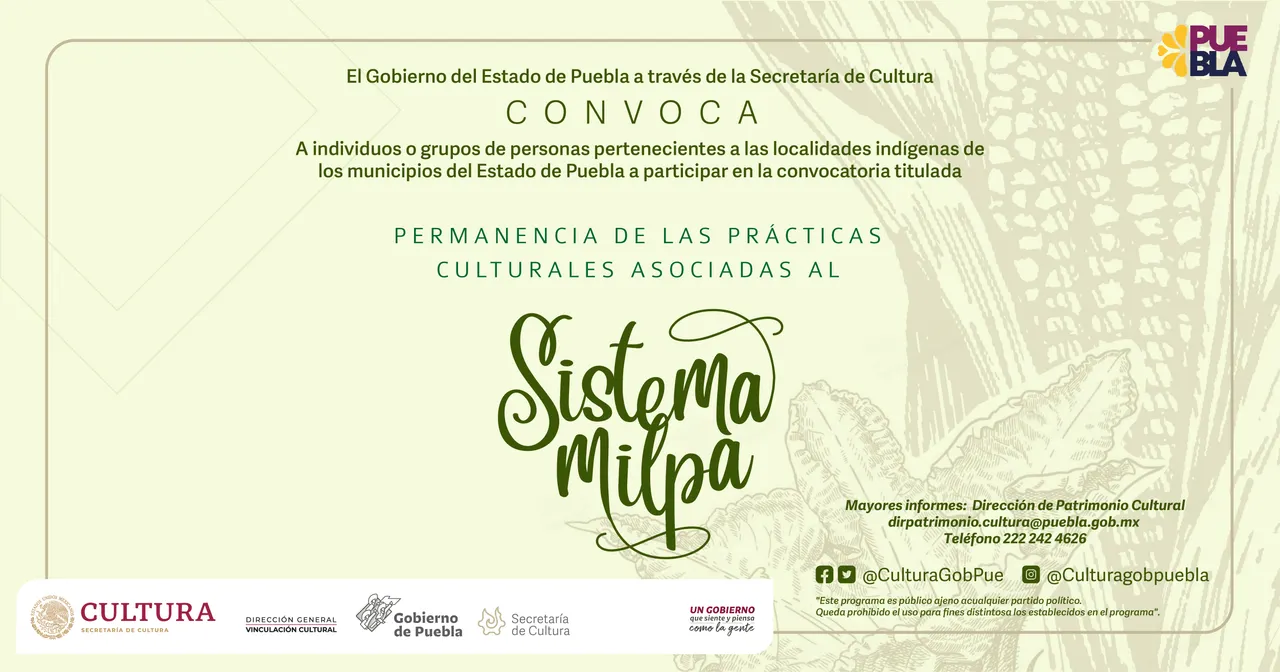 Emite Cultura convocatoria para productores de milpas de localidades indígenas