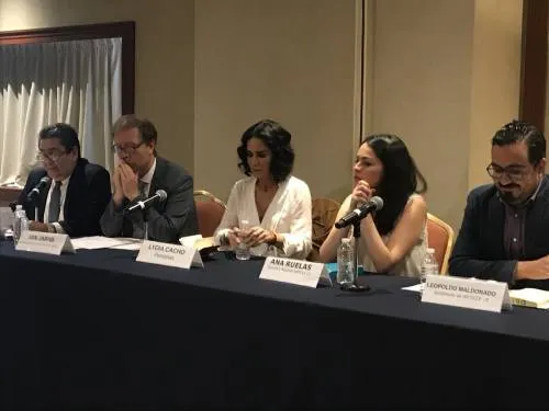 Una batalla ganada: ONU reconoce violaciones a DH en el caso de Lydia Cacho