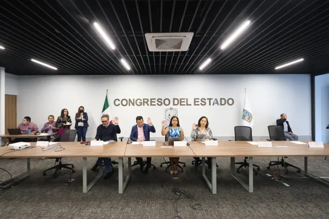 Comisión de Organizaciones No Gubernamentales