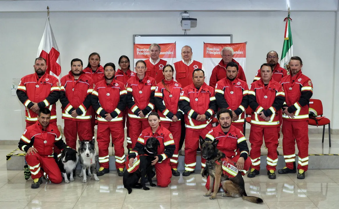 Perritos cruz roja