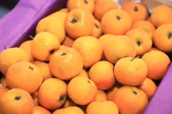 Conservas y el tradicional ponche, te esperan en la Feria del Tejocote y Expo Agrícola de Calpan