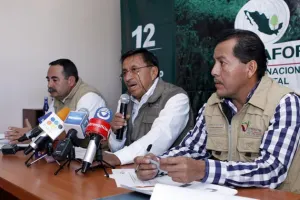 Van dos incendios forestales en Puebla: Conafor