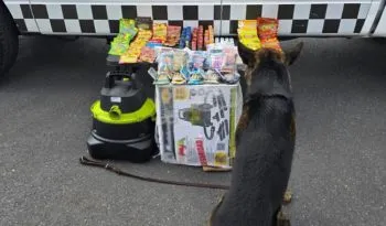 En Zacatecas, Guardia Nacional asegura frituras y dulces elaborados a base de cannabis