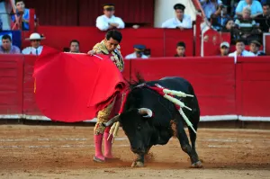 Evoluciona El Zapata tras cornada en Puebla