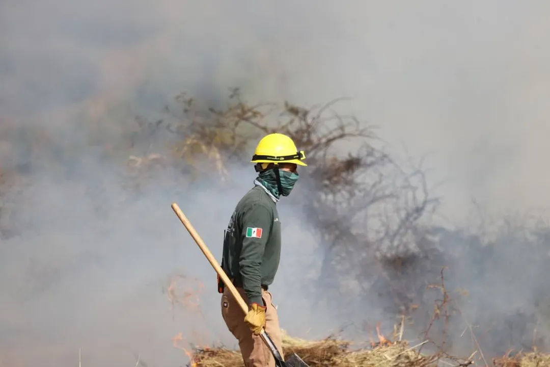 Gob Pue Prevencion Incendios Forestales 26