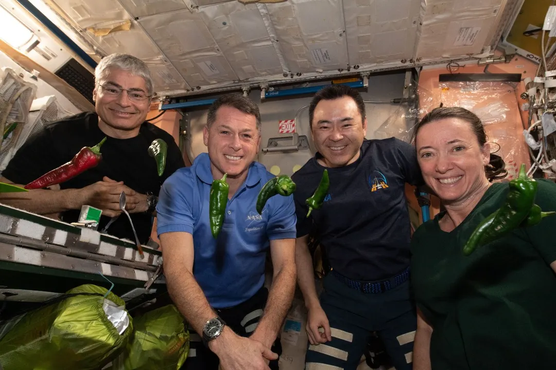 ISS chiles