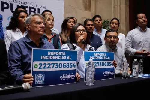 Biestro está detrás de la revisión de cuentas públicas: PAN